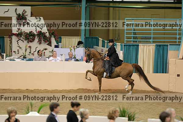 Proof 09yn-22812