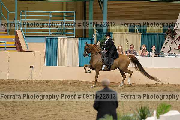 Proof 09yn-22813