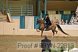 09yn-22813 proof