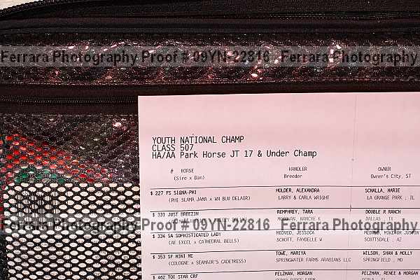 Proof 09yn-22816
