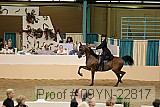 09yn-22817 proof