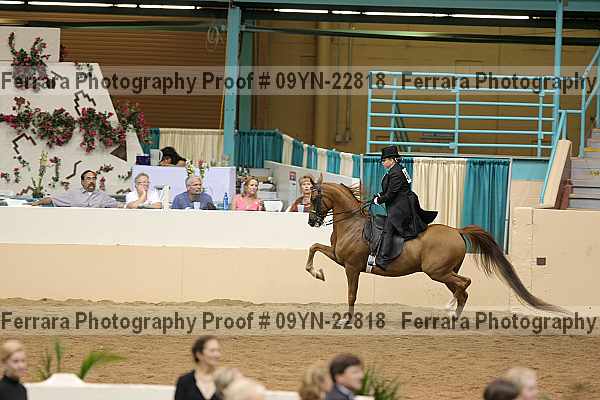 Proof 09yn-22818