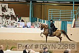09yn-22818 proof