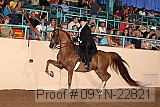 09yn-22821 proof