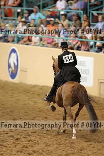 Proof 09yn-22825
