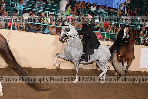 Proof 09yn-22826