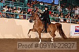 09yn-22827 proof
