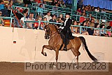 09yn-22828 proof