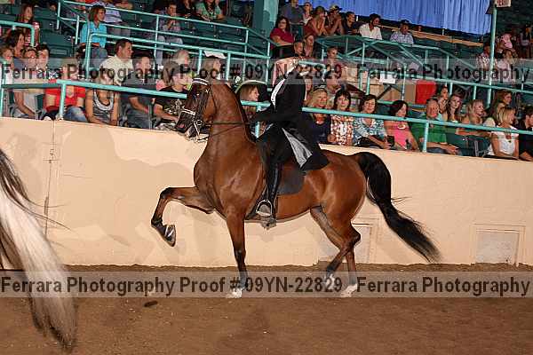 Proof 09yn-22829