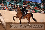 09yn-22829 proof