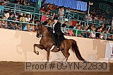 09yn-22830 proof