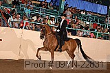 09yn-22831 proof
