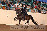 09yn-22832 proof