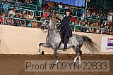 09yn-22833 proof