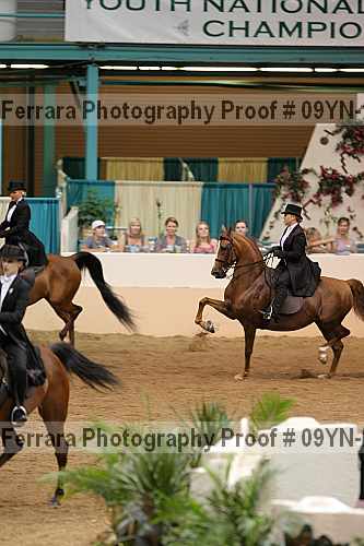 Proof 09yn-22835