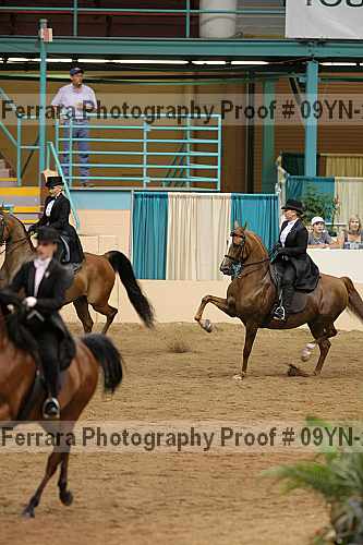 Proof 09yn-22836