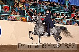 09yn-22837 proof