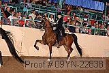 09yn-22838 proof