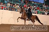 09yn-22840 proof