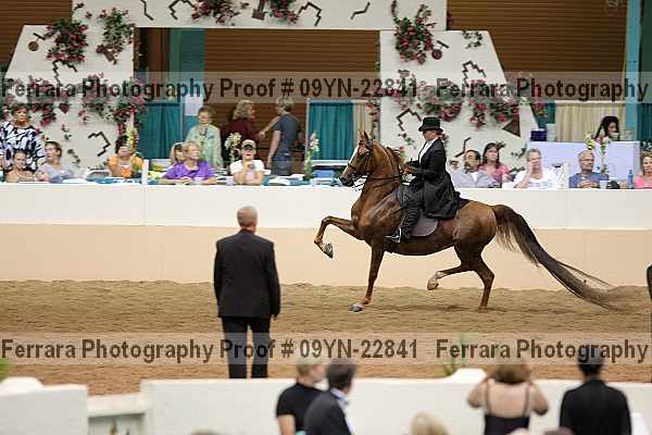 Proof 09yn-22841