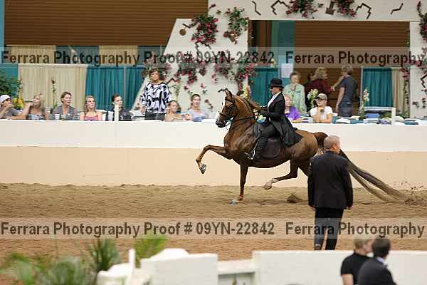 Proof 09yn-22842