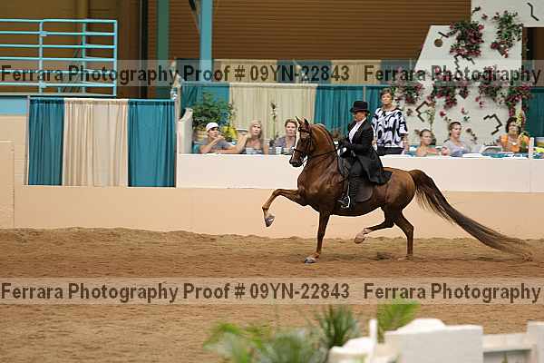 Proof 09yn-22843
