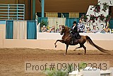 09yn-22843 proof