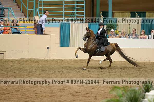 Proof 09yn-22844
