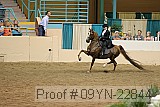 09yn-22844 proof