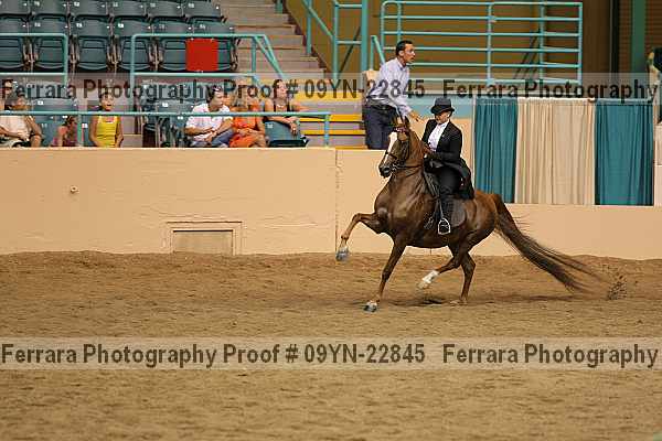 Proof 09yn-22845