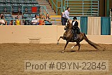 09yn-22845 proof