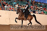 09yn-22851 proof