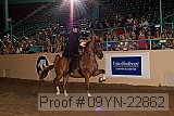 09yn-22862 proof