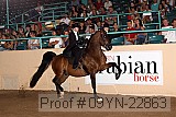 09yn-22863 proof