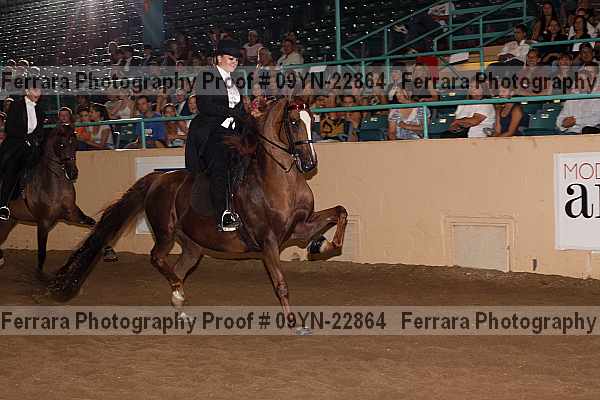 Proof 09yn-22864