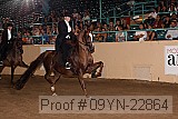 09yn-22864 proof