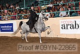 09yn-22865 proof