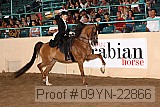 09yn-22866 proof