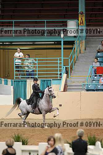 Proof 09yn-22868