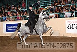 09yn-22875 proof