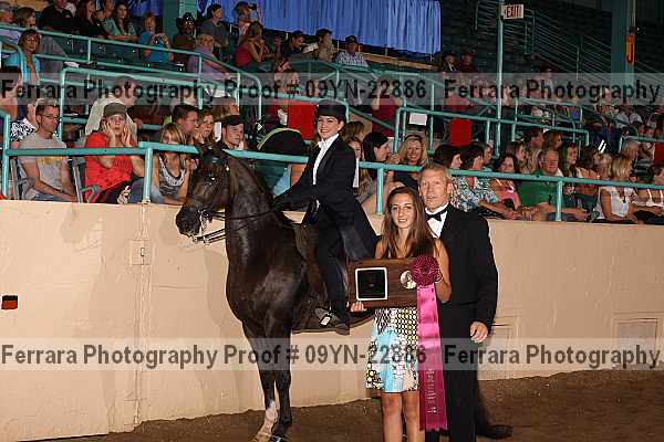 Proof 09yn-22886