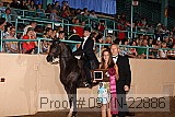 09yn-22886 proof