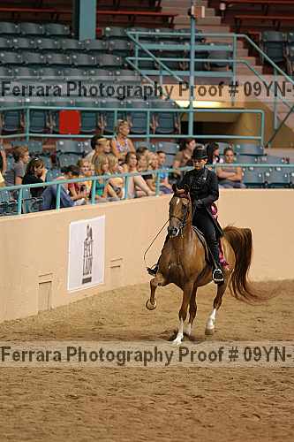 Proof 09yn-22907