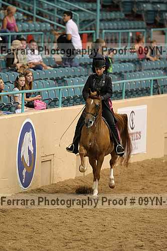 Proof 09yn-22909