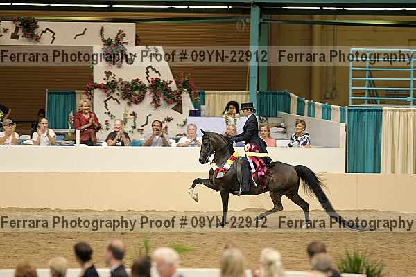Proof 09yn-22912