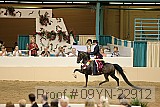 09yn-22912 proof
