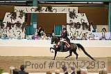 09yn-22913 proof
