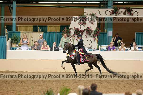 Proof 09yn-22914
