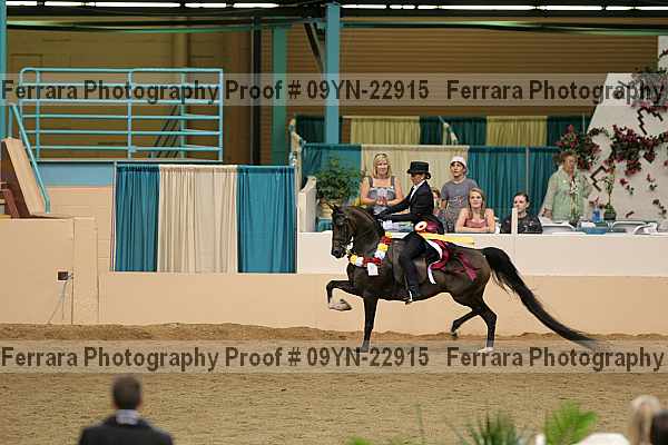 Proof 09yn-22915