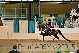 09yn-22915 proof